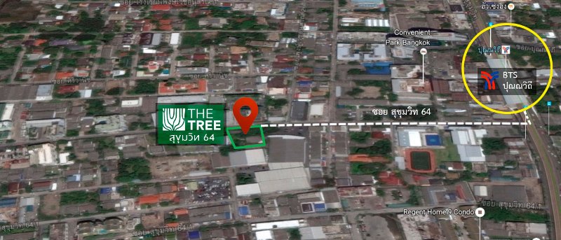 The Tree สุขุมวิท 64 The Next CBD is Coming