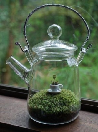 10 Terrarium สวนจิ๋วยอดฮิต แต่งคอนโด