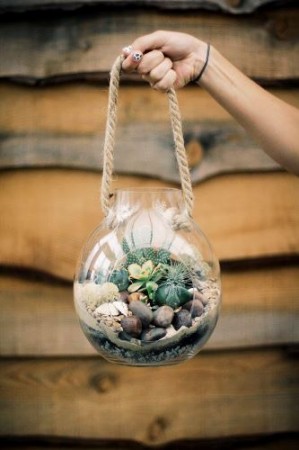 10 Terrarium สวนจิ๋วยอดฮิต แต่งคอนโด