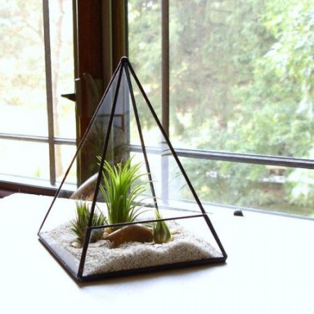 10 Terrarium สวนจิ๋วยอดฮิต แต่งคอนโด