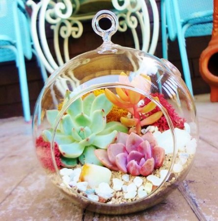 10 Terrarium สวนจิ๋วยอดฮิต แต่งคอนโด