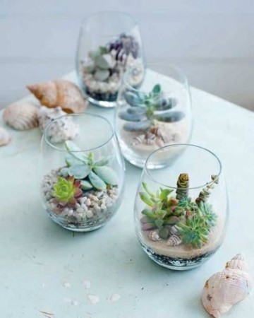 10 Terrarium สวนจิ๋วยอดฮิต แต่งคอนโด