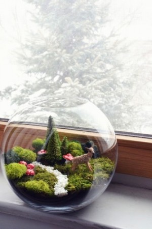 10 Terrarium สวนจิ๋วยอดฮิต แต่งคอนโด