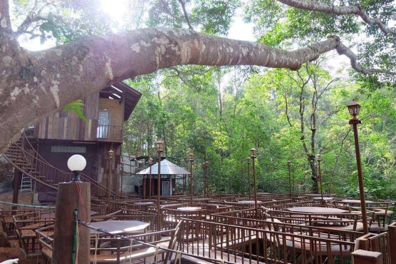 The Giant Chiangmai ร้านกาแฟบนต้นไม้ใหญ่ ท่ามกลางขุนเขา