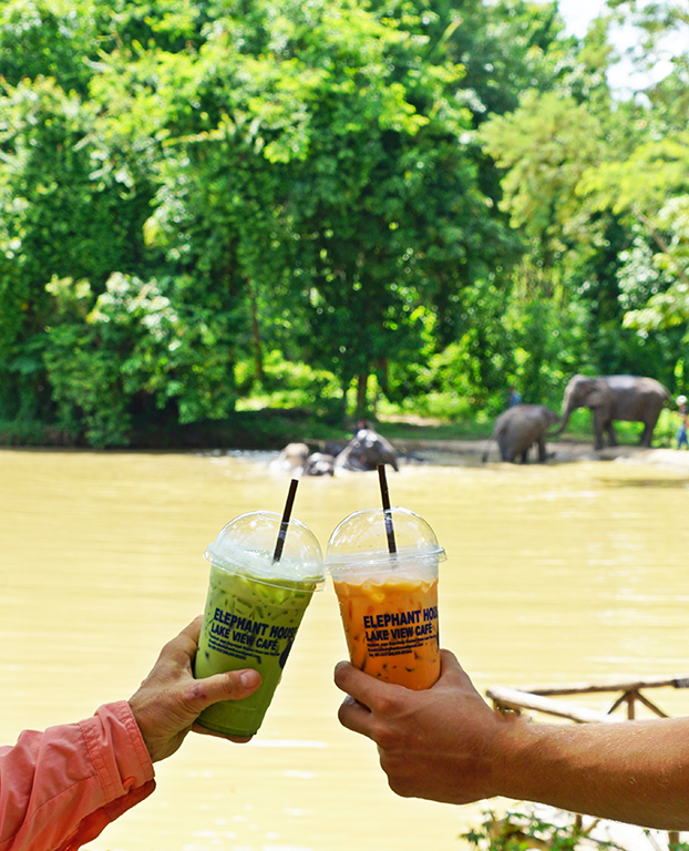 Sappraiwan Elephant House Lake View Café