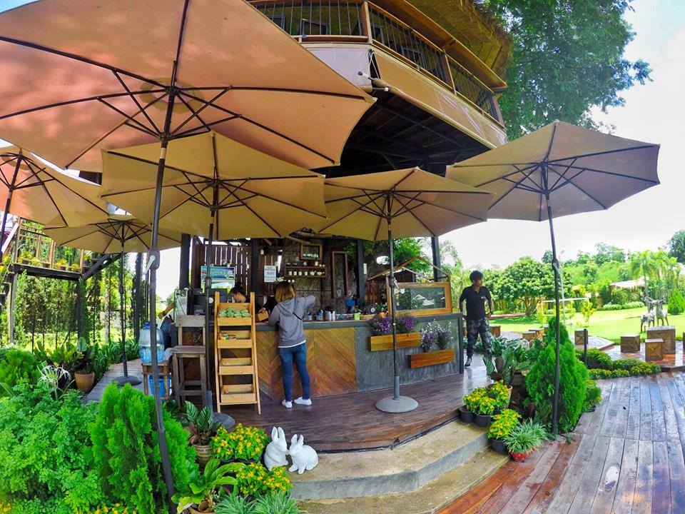 เก๊ามะขาม คอฟฟี่ เชียงใหม่ ร้านกาแฟบนต้นไม้ วิว 360 องศา