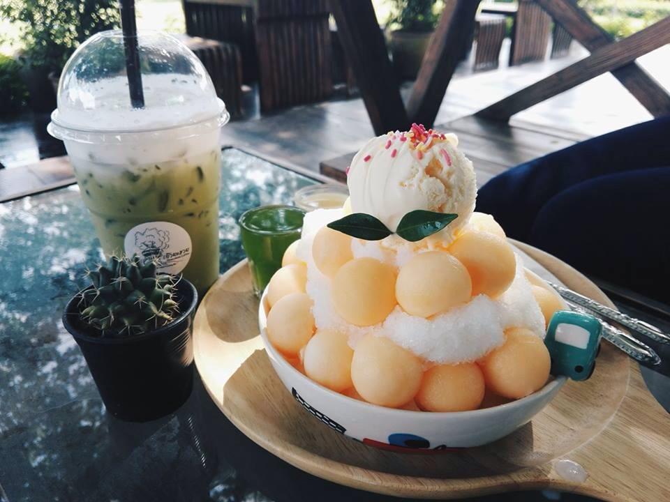 เก๊ามะขาม คอฟฟี่ เชียงใหม่ ร้านกาแฟบนต้นไม้ วิว 360 องศา