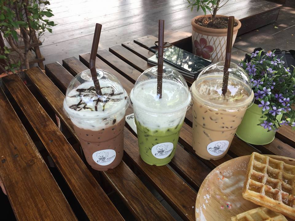 เก๊ามะขาม คอฟฟี่ เชียงใหม่ ร้านกาแฟบนต้นไม้ วิว 360 องศา