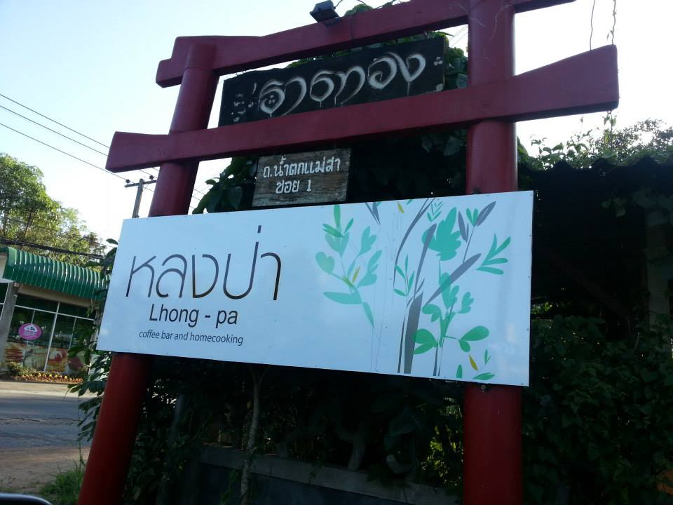 ร้านกาแฟเชียงใหม่: หลงป่า