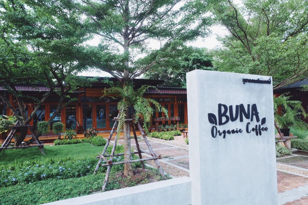 ชวนมาดื่มกาแฟที่ร้าน Buna Organic Coffee