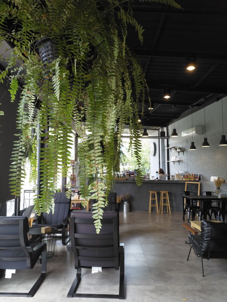 Café Loftberry คาเฟ่เท่ห์ๆ สไตล์โมเดิร์นลอฟท์ในสวนผึ้ง