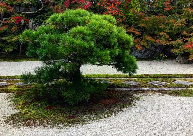 สวนเซ็นญี่ปุ่น สวยเรียบสงบ พบสัจธรรม