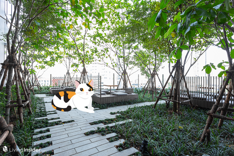 Maru ลาดพร้าว15 - Pet Friendly Condo คอนโดเลี้ยงสัตว์ได้ ใจกลางเมือง เจ้านายก็แฮปปี้  ทาสอย่างเราก็สลีปปี้สิ