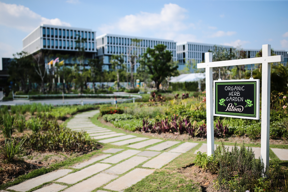 แสนสิริชวนคุณสัมผัส Sansiri Backyard @ T77 Community รูปแบบใหม่
