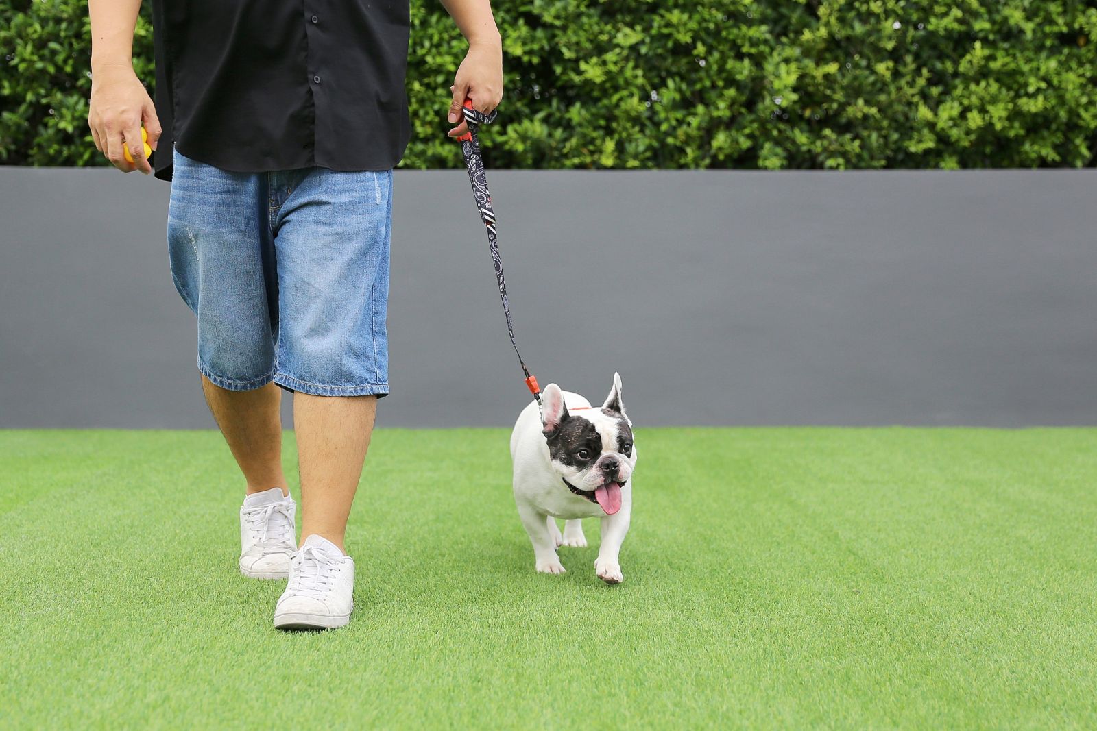 Pet-Friendly Residences คอนโดที่ตอบโจทย์กระแสเลี้ยงสัตว์คลายเหงาช่วง Work From Home