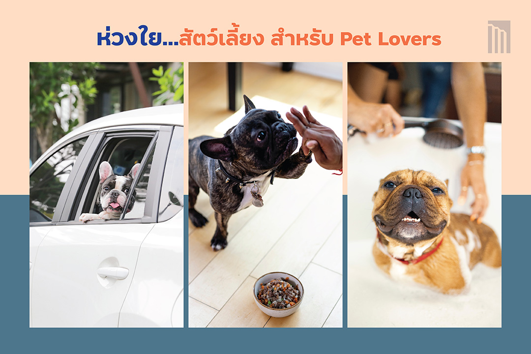 ‘เมเจอร์ ดีเวลลอปเม้นท์’ เสิร์ฟตรงสิทธิพิเศษครบวงจร