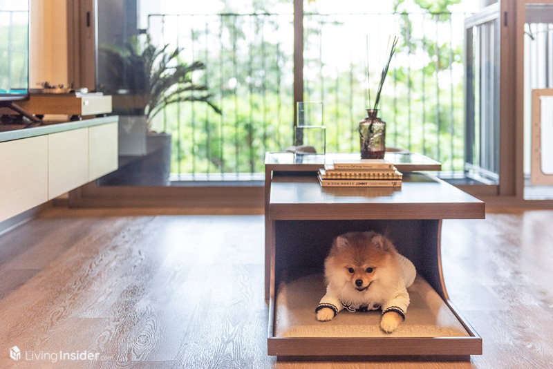 Whizdom The Forestias - Petopia ที่สุดแห่งศตวรรษของการอยู่อาศัยแบบ Pet-Friendly คอนโดท่ามกลางป่าใหญ่ใจกลางเมือง มาสัมผัสความรู้สึก Feel the Wild กลับสู่ชีวิต ใกล้ชิดธรรมชาติ