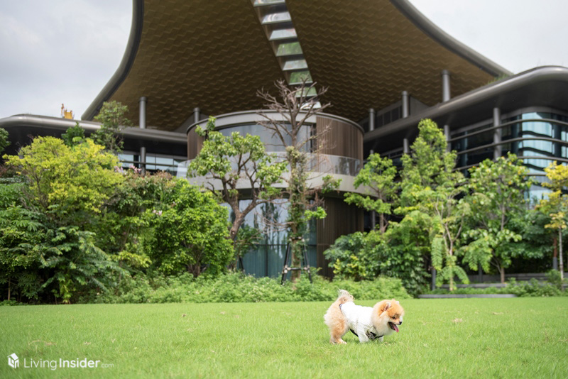 Whizdom The Forestias - Petopia ที่สุดแห่งศตวรรษของการอยู่อาศัยแบบ Pet-Friendly คอนโดท่ามกลางป่าใหญ่ใจกลางเมือง มาสัมผัสความรู้สึก Feel the Wild กลับสู่ชีวิต ใกล้ชิดธรรมชาติ