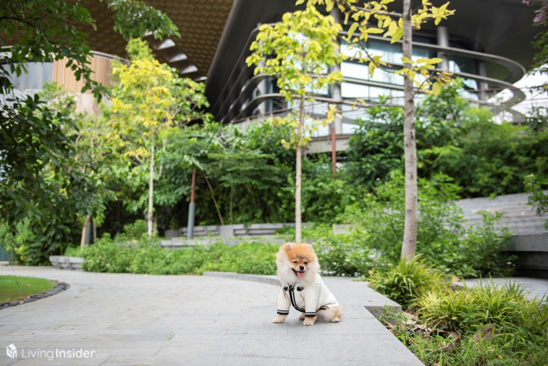 Whizdom The Forestias - Petopia ที่สุดแห่งศตวรรษของการอยู่อาศัยแบบ Pet-Friendly คอนโดท่ามกลางป่าใหญ่ใจกลางเมือง มาสัมผัสความรู้สึก Feel the Wild กลับสู่ชีวิต ใกล้ชิดธรรมชาติ