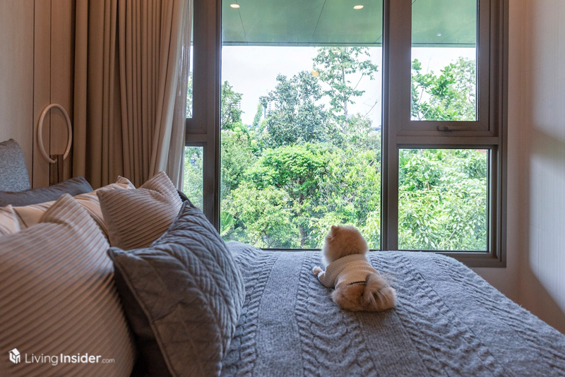 Whizdom The Forestias - Petopia ที่สุดแห่งศตวรรษของการอยู่อาศัยแบบ Pet-Friendly คอนโดท่ามกลางป่าใหญ่ใจกลางเมือง มาสัมผัสความรู้สึก Feel the Wild กลับสู่ชีวิต ใกล้ชิดธรรมชาติ